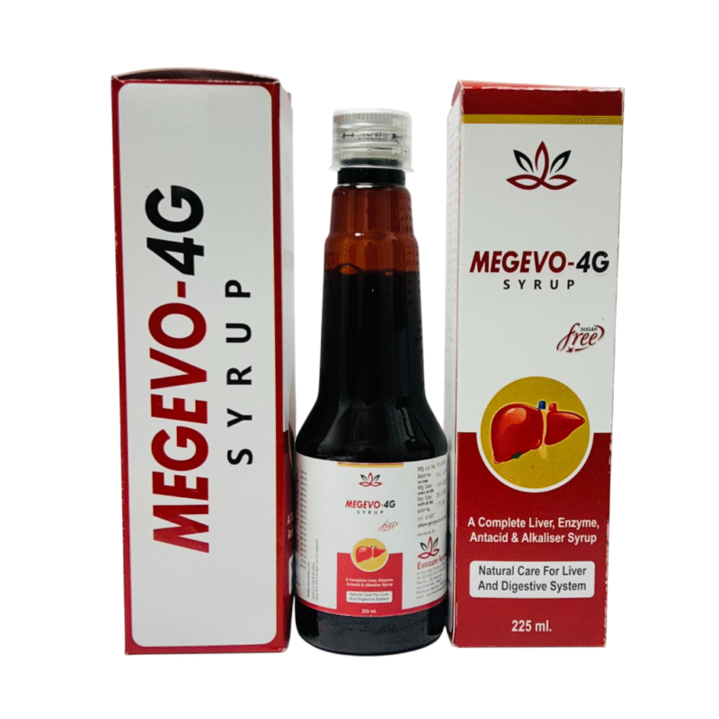 MEGEVO-4G