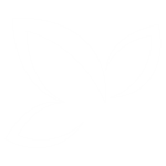 loader image